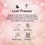 Kapsa Laundry Pods - 30 Capsules | 10-in-1 Detergent Fragrance Softener | 10X Cleaning Power | Stain & Odour Removal | Low Suds For Sensitive Skin | Top Load & Front Load Washer | Eco-Friendly - Image 13